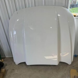 2019 Mustang Cervini 4 cowl hood