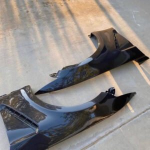 17 Mustang GT350 Carbon Fiber Fenders